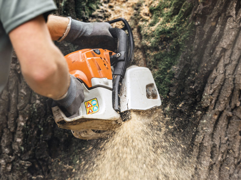Stephen Pye Tree Services Ltd